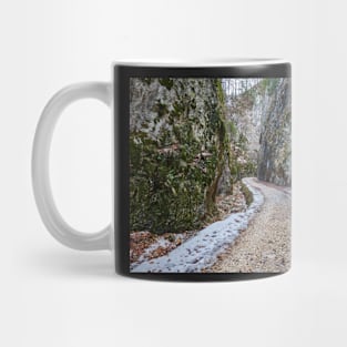 Deep canyon Mug